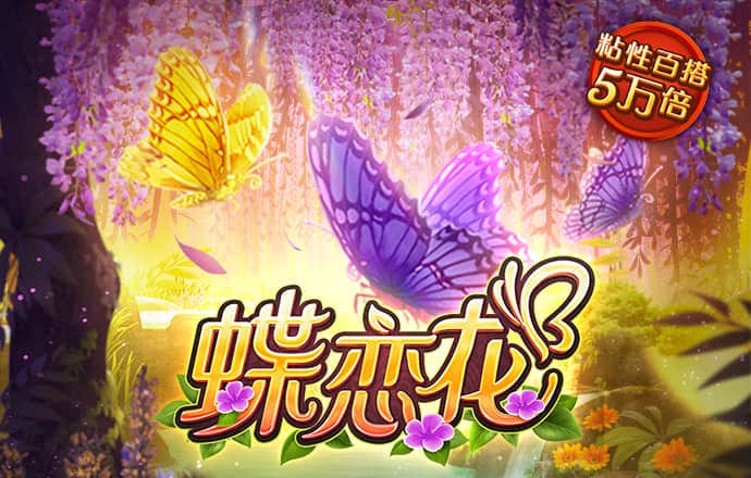 智博体育登录入口手机版